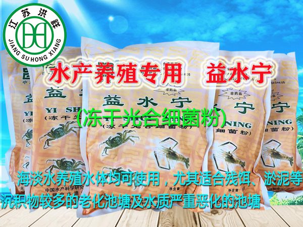 食品系列